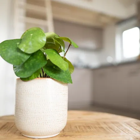 Semesterbostad Bis 4 Personen Ohne Hund